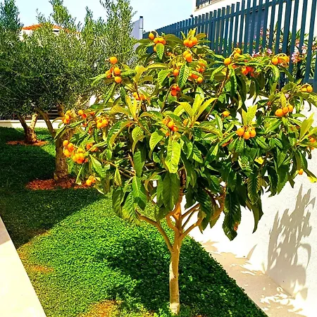 Villa Dolce Vita,